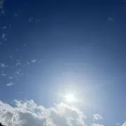 まめの画像