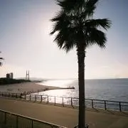 mymの画像