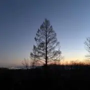 しゅうの画像