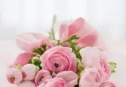 ✾つぼみ✾の画像
