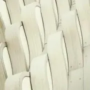 リトマス紙