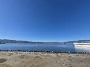 秋の画像