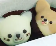 くまさんの画像