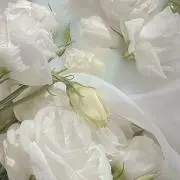 りーの画像