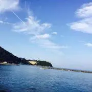 みずきの画像