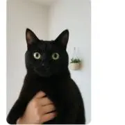 りん⭐️プロフ一読願いますの画像
