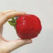 いちご