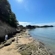 KEIの画像