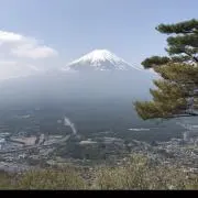 金ちゃんの画像