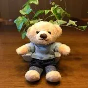 コロの画像
