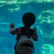 れな〜