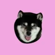 （株）KAMIの画像