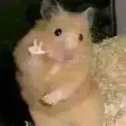 ★ 野球・季節物・Gショック・金ちゃん★