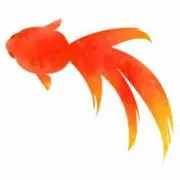 たぬぬの画像