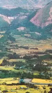 hakozakinagao3456の画像