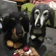 愛の画像