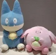 Hana Pokaの画像