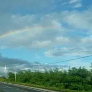 ひっとの画像