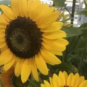 krhrmnmの画像