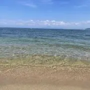 ゆうの画像