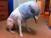 弱者男性