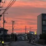 N╰(*´︶`*)╯の画像