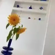 PAPIKOの画像