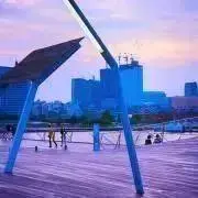 falの画像