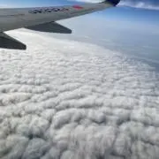 ゆかり値下げ交渉受付中の画像