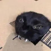 kiitosの画像