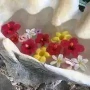 nakaの画像