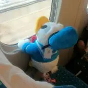もにの画像