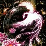 朱雀