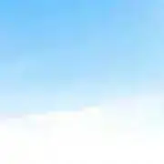 はんぺんの画像