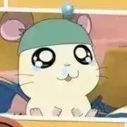 鮭の画像