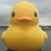 DD186の画像