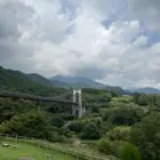 H.sgの画像
