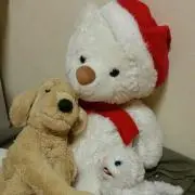 きょん