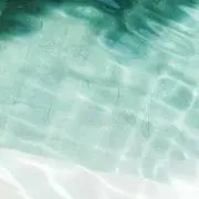 らんの画像