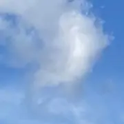 ここ