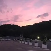 Fの画像