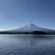 rice ballの画像