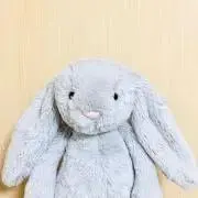 まきの画像
