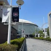 ヒーロ ☆次回発送 8月随時発送☆の画像