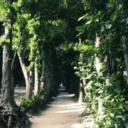 すなわみの画像