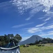 Surariの画像