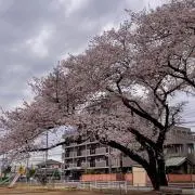 マン君の画像