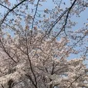 kの画像