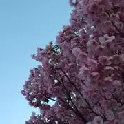 WV3-2の画像