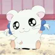 のの画像